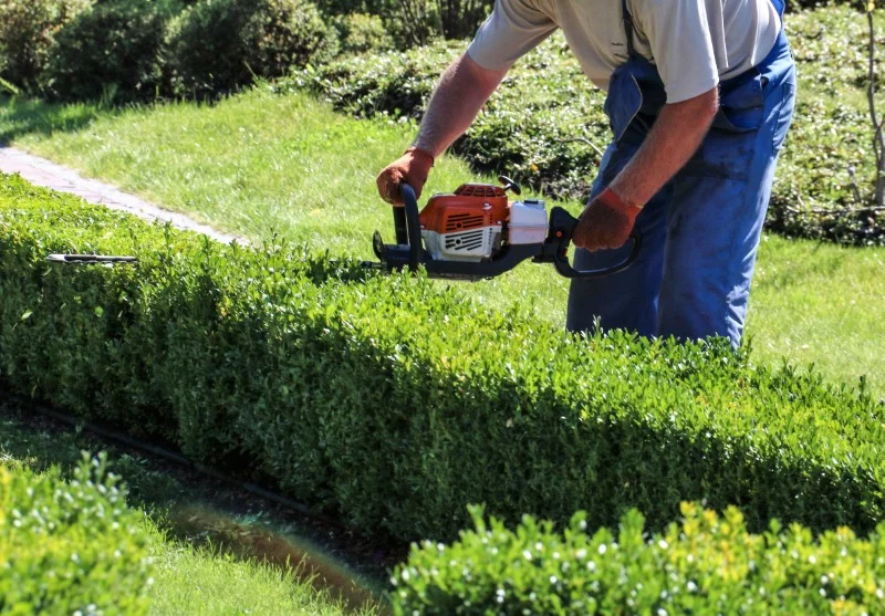 Empresa de mantenimiento de jardines . JMR Reformas
